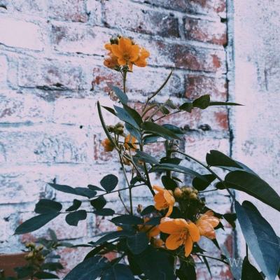 b体育安卓下载官网